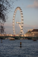 The Eye from Victoria Tower Gardens