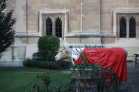 A Cow in Parliament