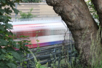 Trains Rush By The Graves At St Patricks