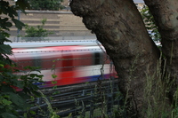 Trains Rush By The Graves At St Patricks