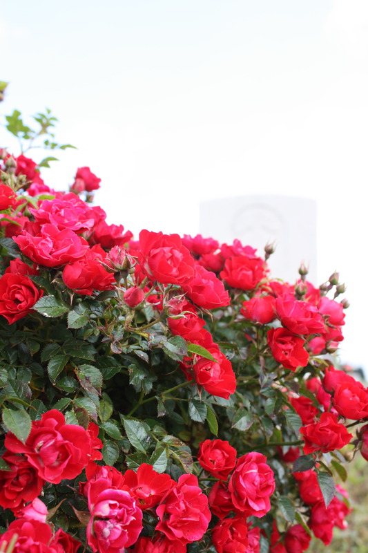 Flowers on a grave