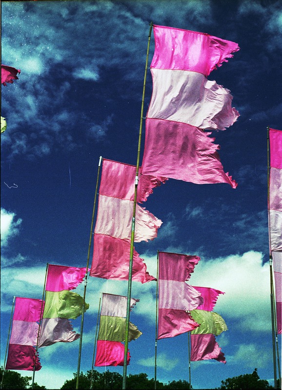 Flags Flying 