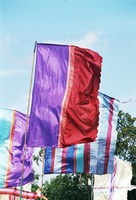 More Flags