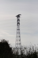 Pylon supporting the Severn crossing