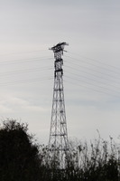 Pylon supporting the Severn crossing
