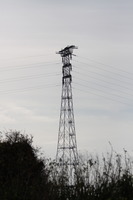 Pylon supporting the Severn crossing