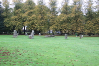 Standing stones in Bute Park