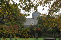 Standing stones in Bute Park