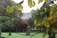 Standing stones in Bute Park