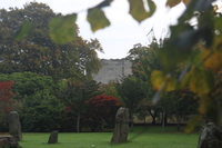 Standing stones in Bute Park