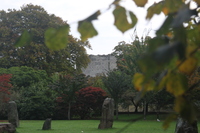 Standing stones in Bute Park