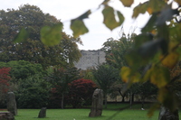 Standing stones in Bute Park