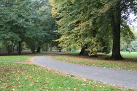 Path through Bute Park