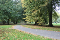 Path through Bute Park
