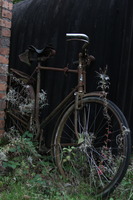 Rusty Bike