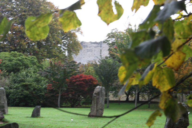 Standing stones in Bute Park