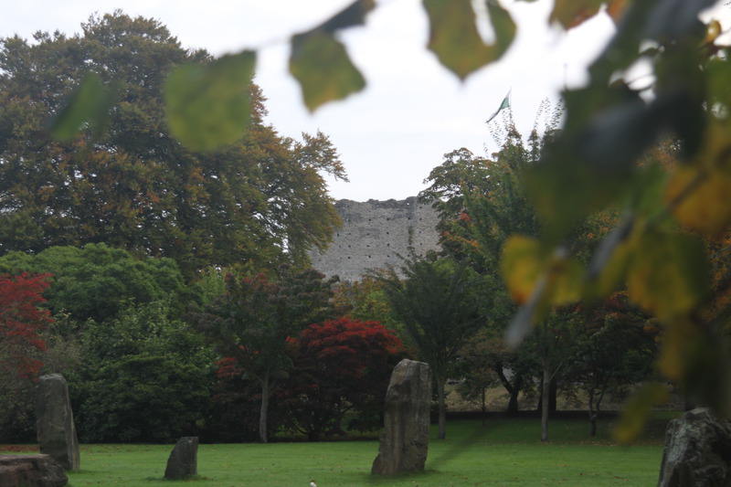 Standing stones in Bute Park