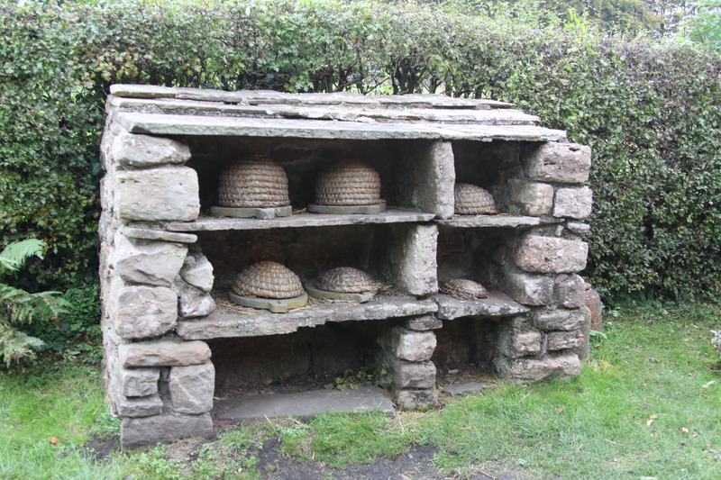 Old Hives?