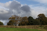 Farm View