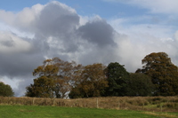 Farm View