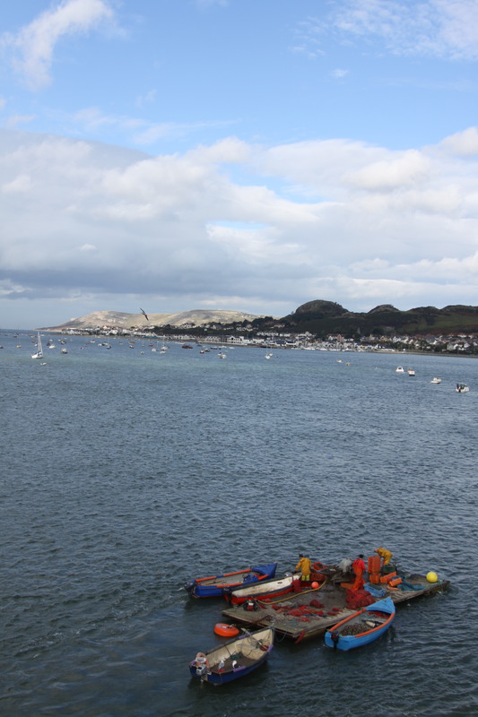 Conwy Harbour