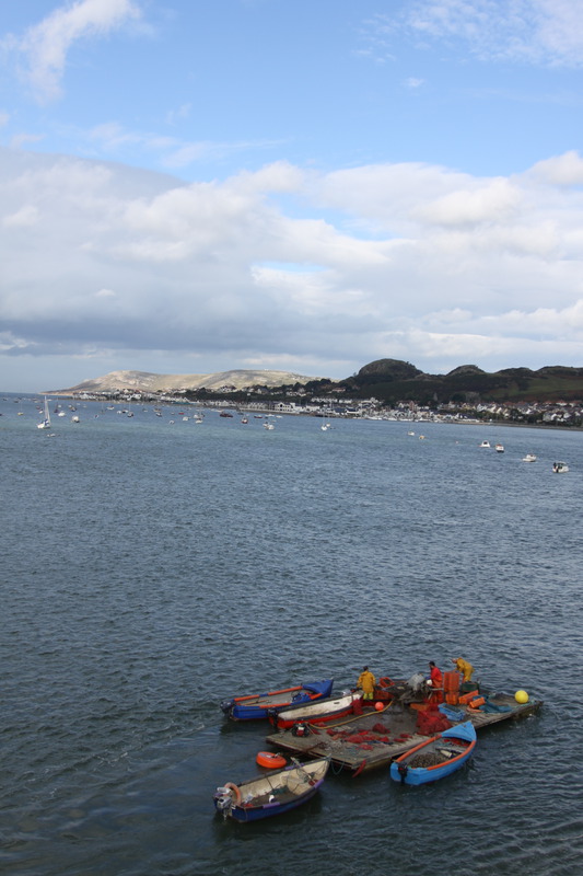 Conwy Harbour