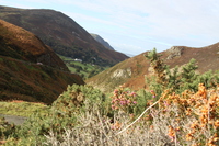 Sychnant Pass