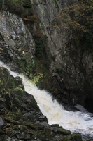 Conwy Falls