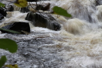 Conwy River near the falls