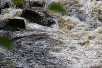 Conwy River near the falls