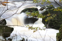 Conwy River near the falls