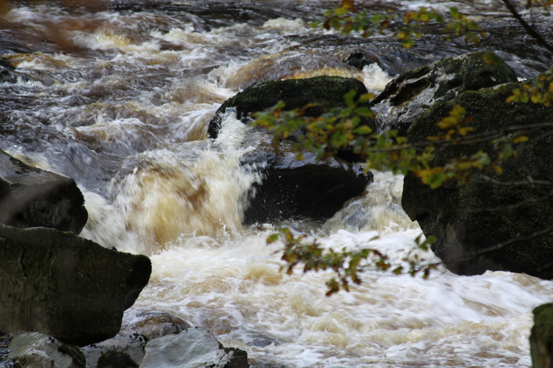 Conwy River near the falls