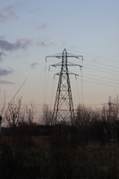 Terminal Pylon