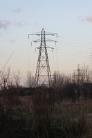 Terminal Pylon