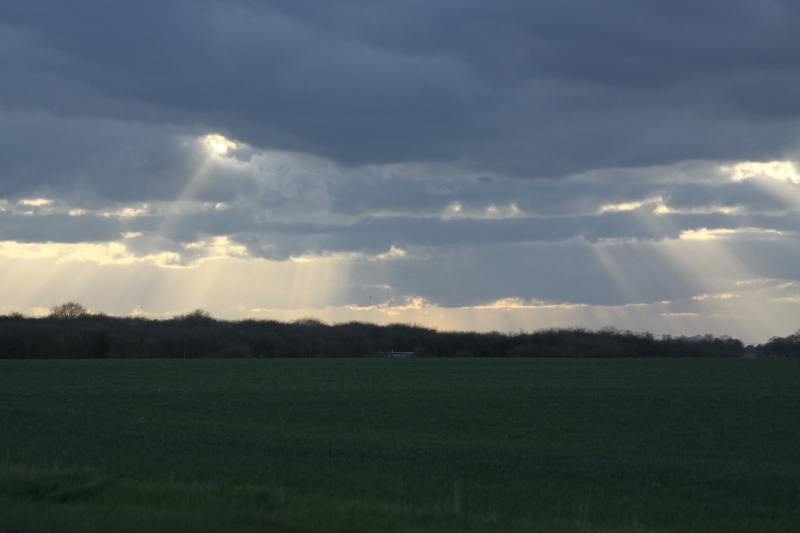 Cloudscapes on the way home