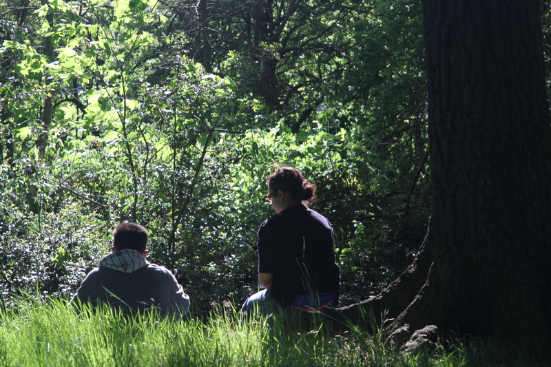 Couple in the wood