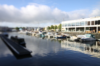 View of the Docks near Pero's Bridge